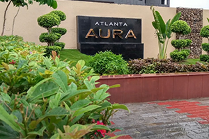 Atlanta Aura - Township Landscaping 