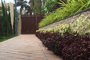 Residential Landscaping (Location - Indore) 