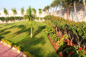 Relaxing Farmhouse Landscaping (Location - Indore) 