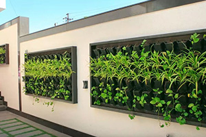 Elegant Office Landscaping (Location - Indore) 