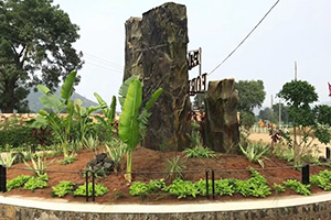 Pakiza Forest Trail Landscaping (Location - Indore) 